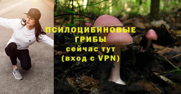 дмт Алексеевка